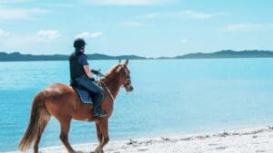 Horse Riding Holiday in the UK